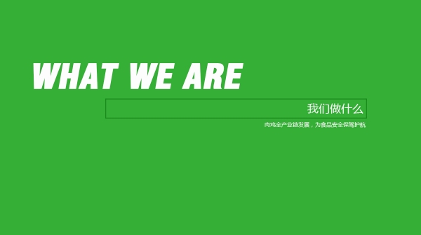 about-us-2